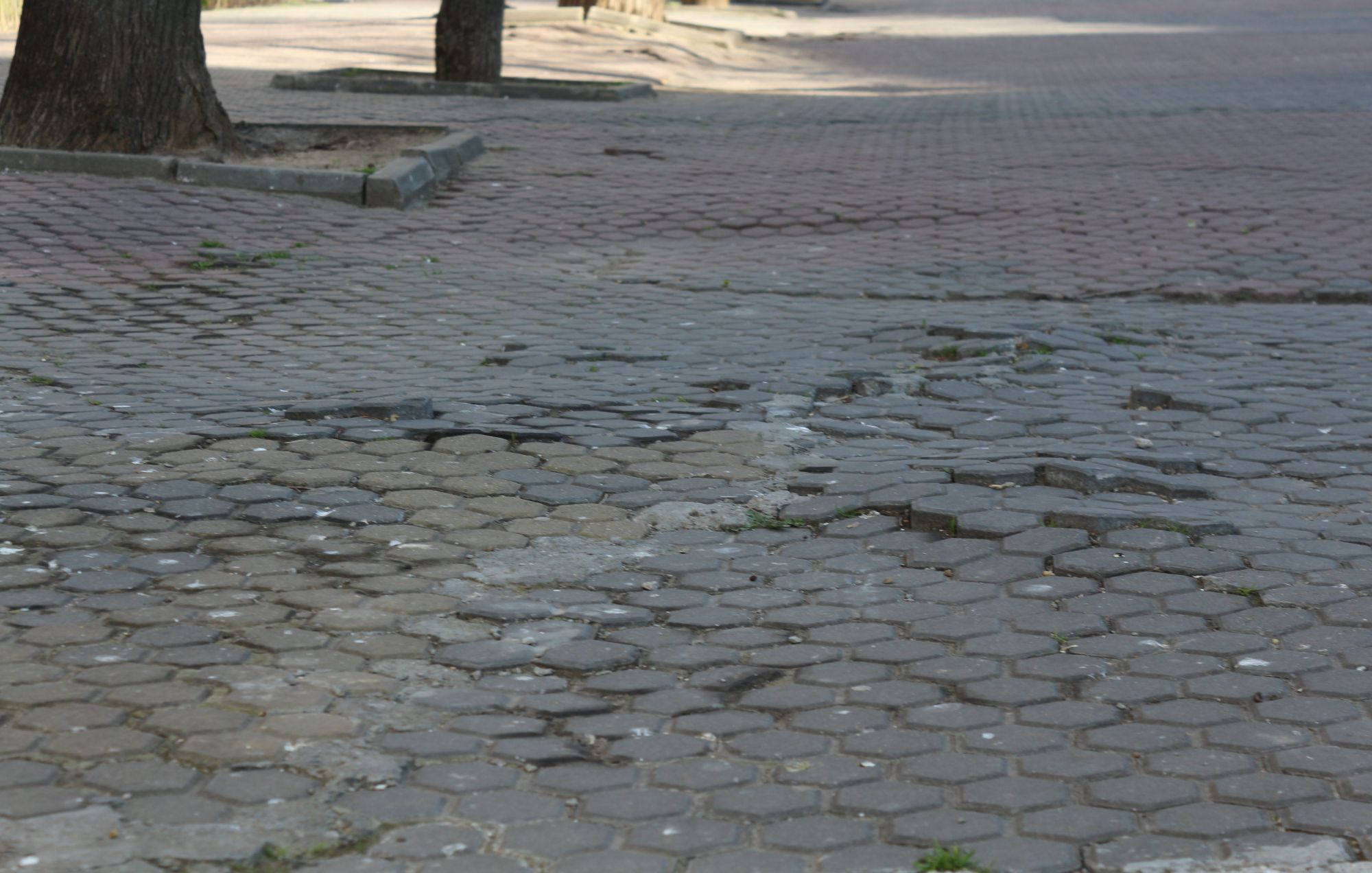 Arteziene şi bazine decorative pe aleea de la P-uri. Investiţie de peste 13,8 milioane de lei