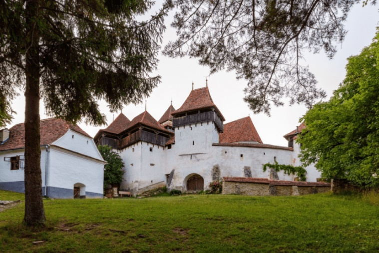 Regele care luptă cu viscriminarea