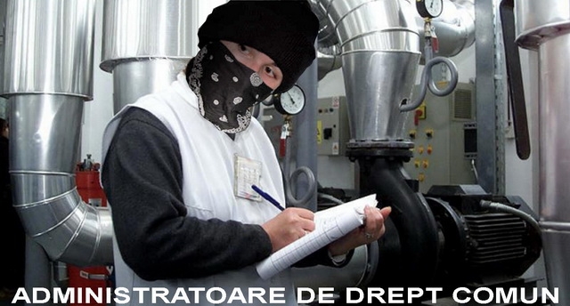 Administratorul ştie ce-i face stăpânul?