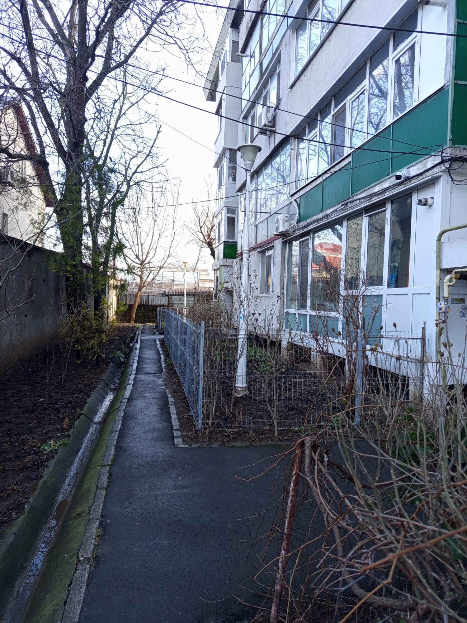 Poza zilei. „Stâlpii cu personalitate” din spatele blocului Ialomița