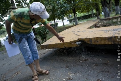 Când nu e copac, vai de jardinieră 