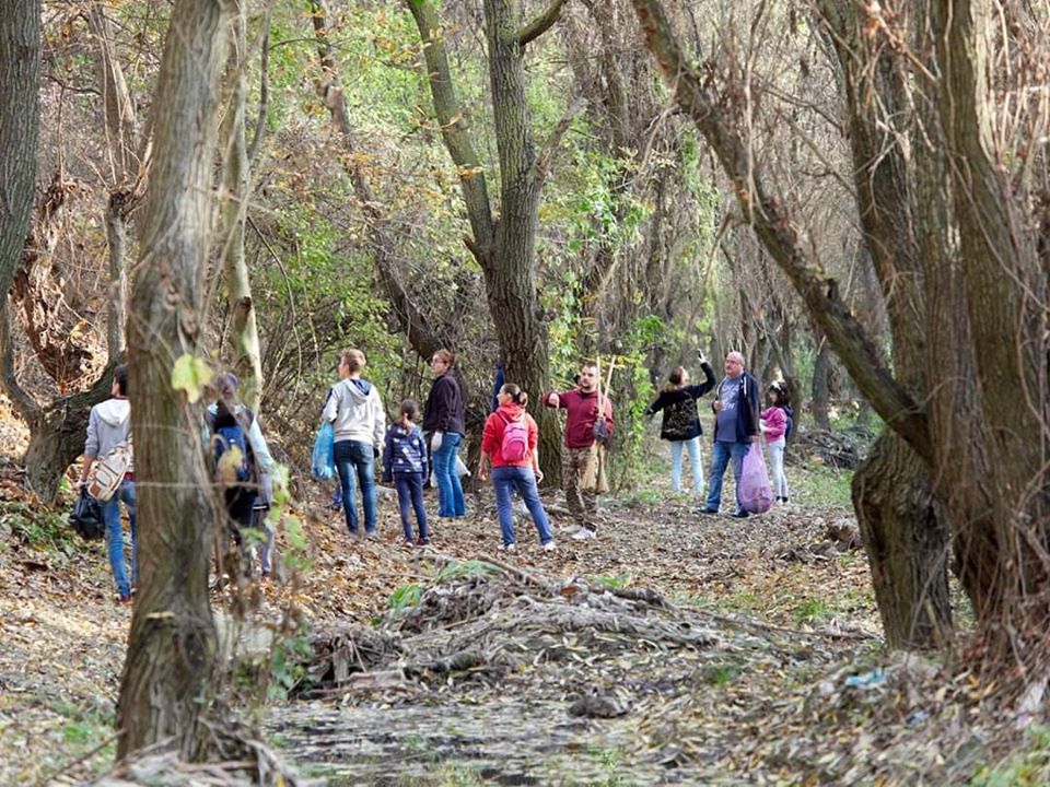 Acţiune de conştientizare în pădurea din mijlocul oraşului