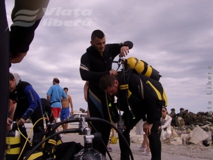 Fiarele junglei de sub Dunăre