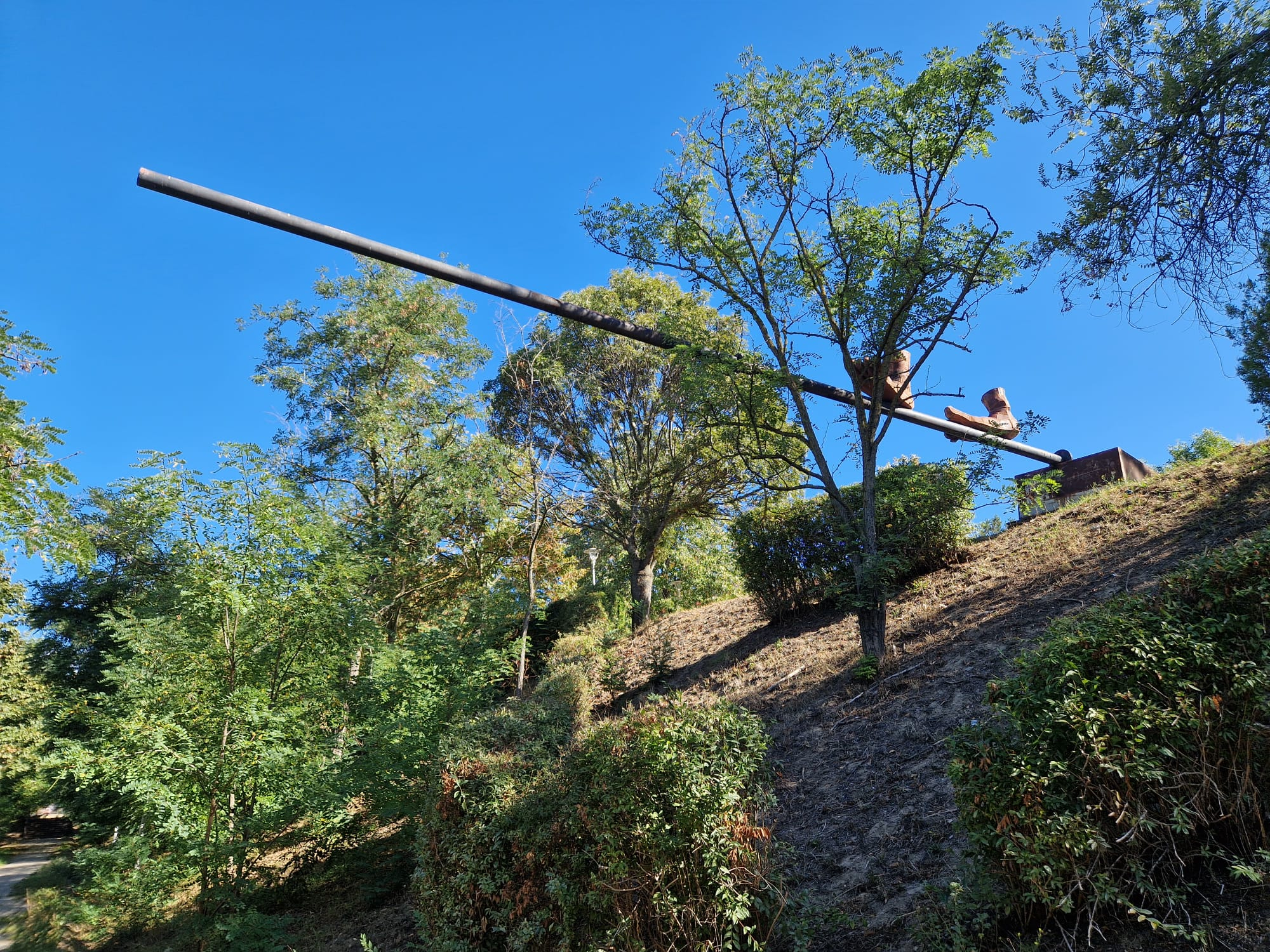 Cum salvează Primăria biodiversitatea de pe Valea Țiglinei (FOTO)