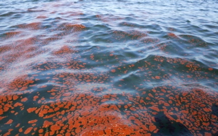 Peste O TONĂ de produs PETROLIER, descoperit într-o epavă aflată de 15 ani PE FUNDUL Dunării