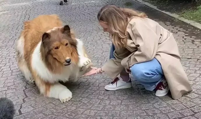 Japoneza care mulatră nu mușcă