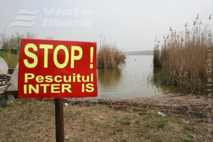 Război pe malul bălţii