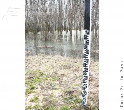 Despăgubire ironică