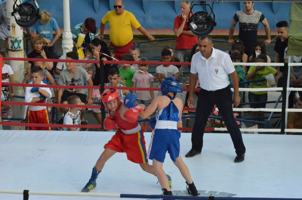 ”Cupa Dunării” la BOX, la prima ediție