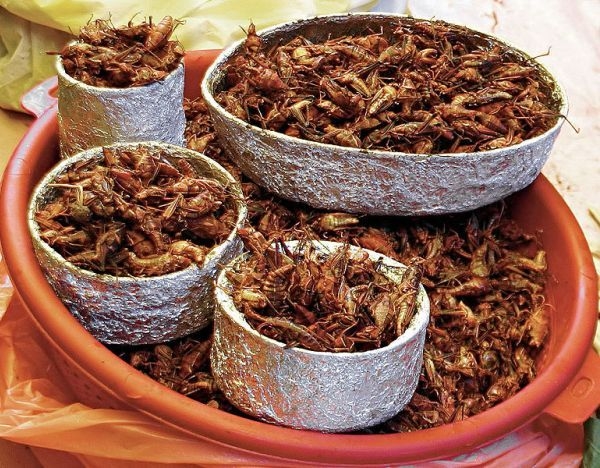 GASTRONOMIE/ Motive să refuzăm diferite alimente