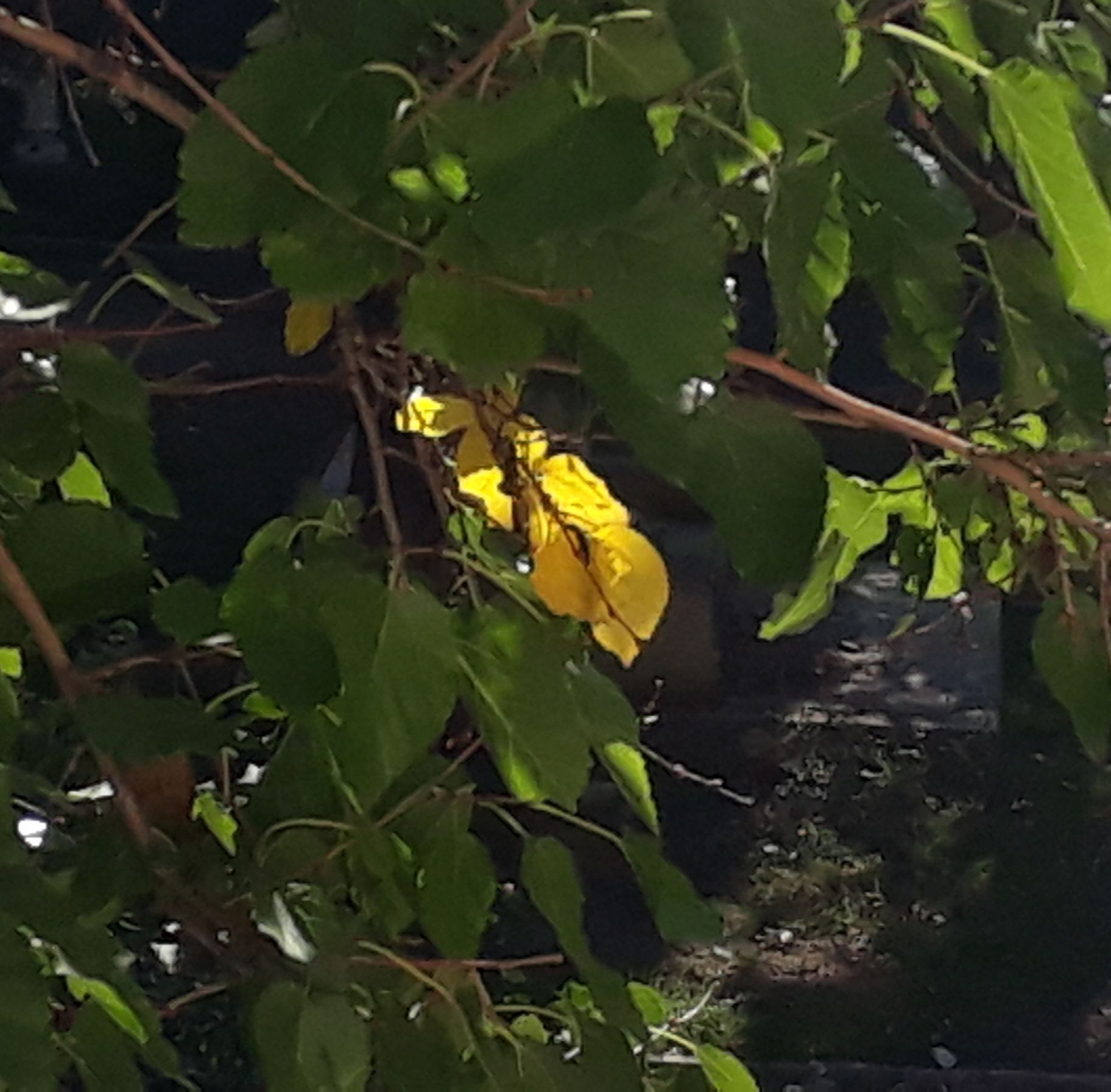 PROGNOZA METEO | Cum va fi vremea, în acest weekend, la Galați