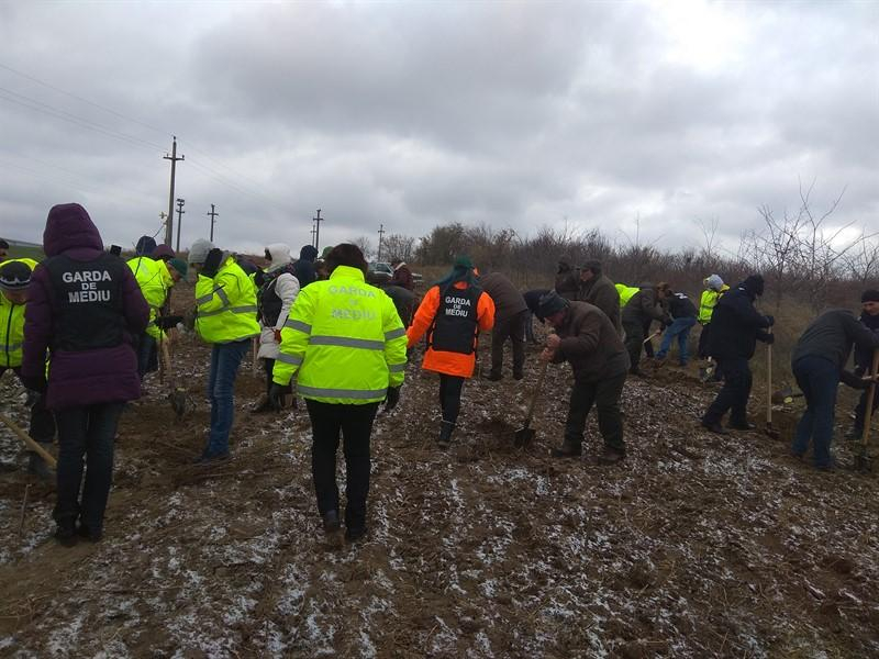 Flori pentru eroi şi 100 de stejari pentru urmaşi