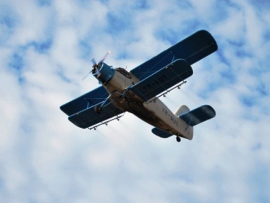 De joi începe dezinsecţia oraşului