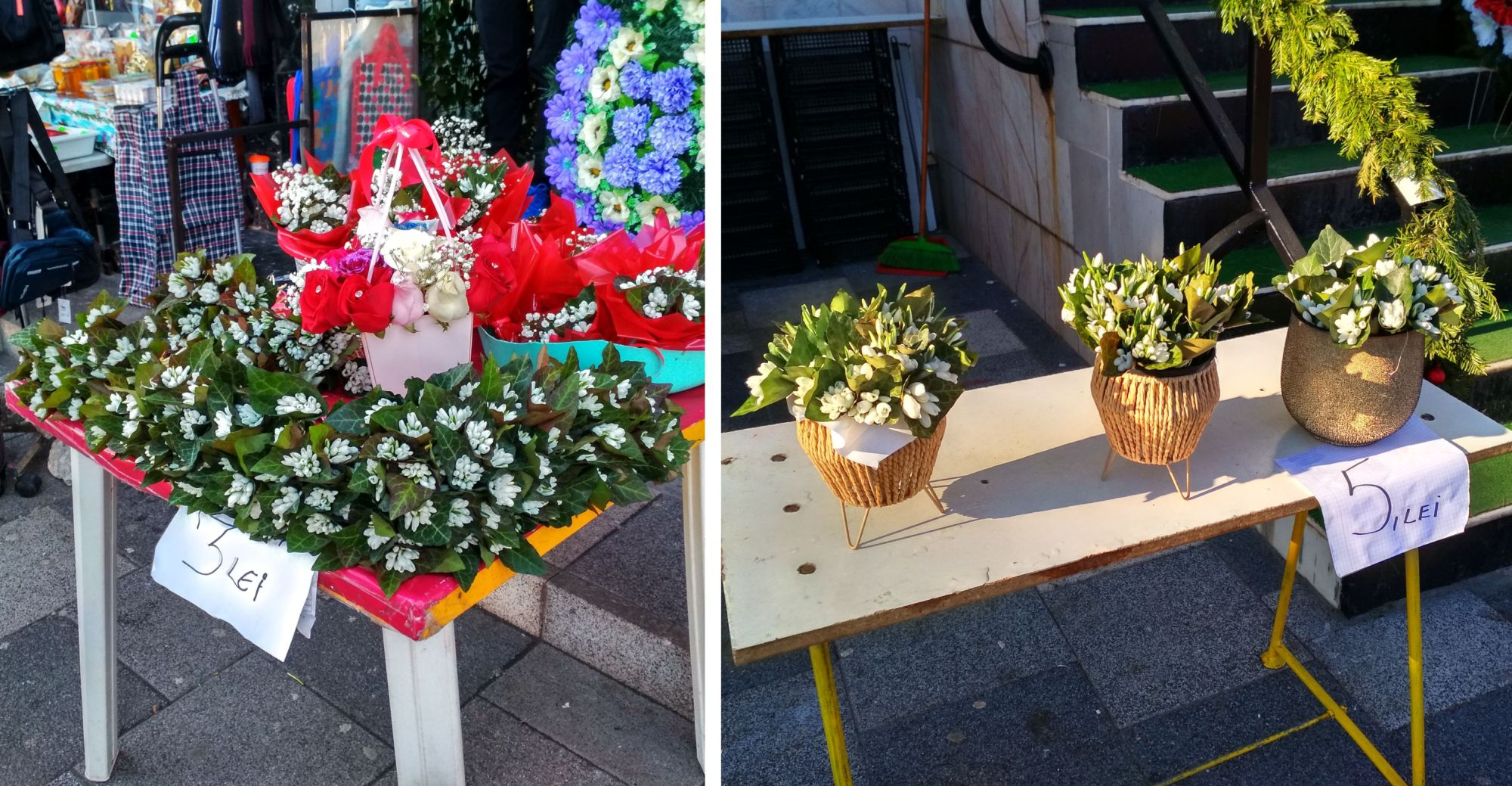 Poza zilei. Ghiocei, la 3 lei sau la 5 lei?