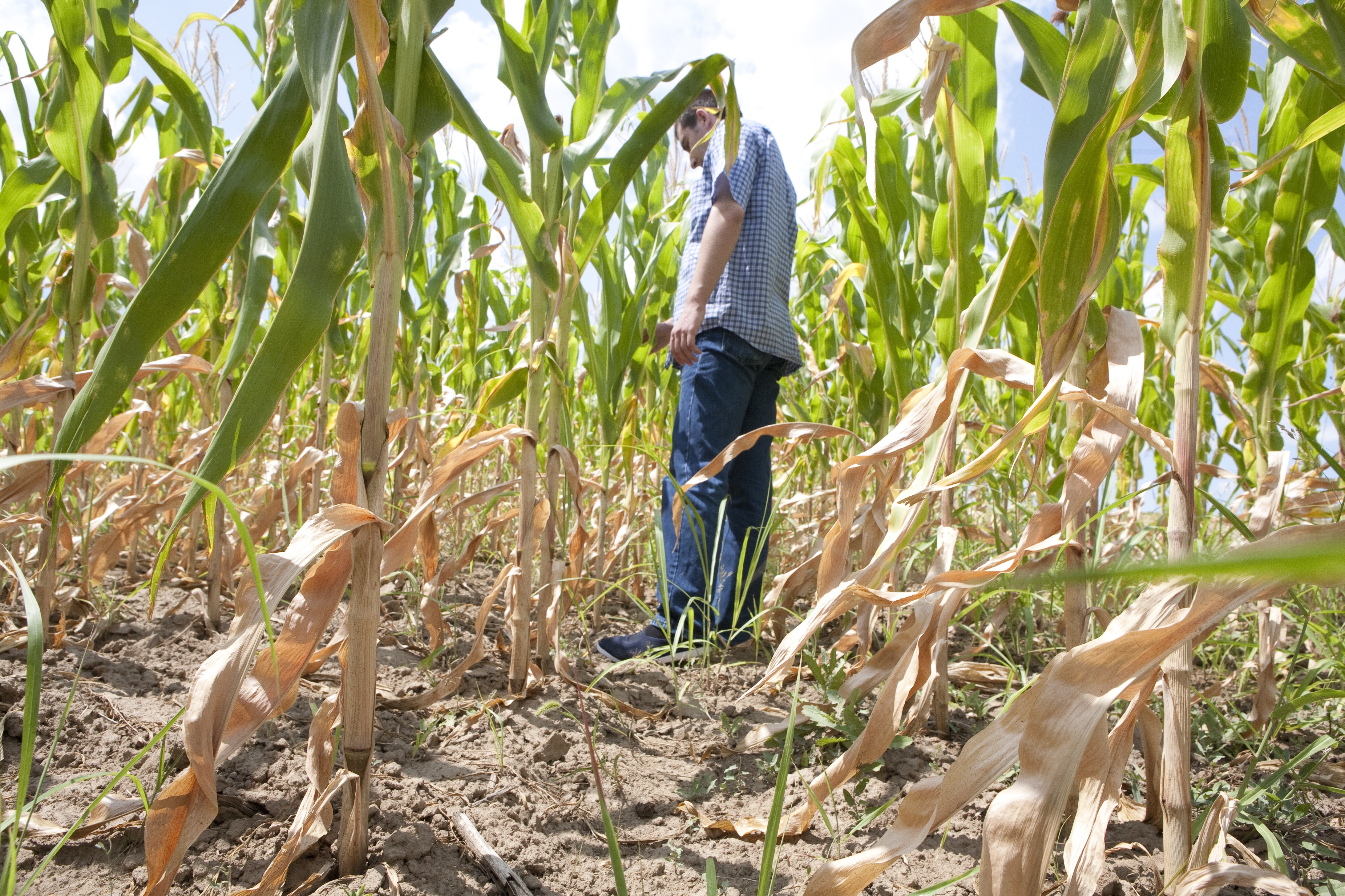 Vin DESPĂGUBIRILE pentru calamităţile din vară