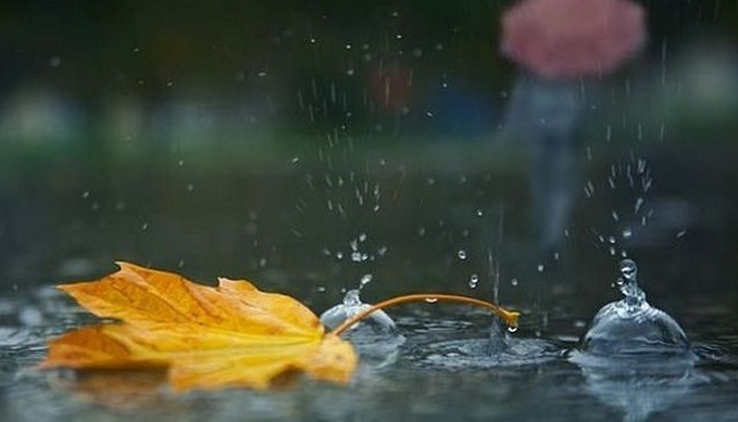 Cum va fi vremea până pe 17 noiembrie