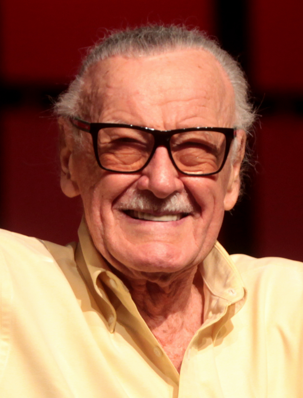 Remember. Stan Lee (1922 - 2018)