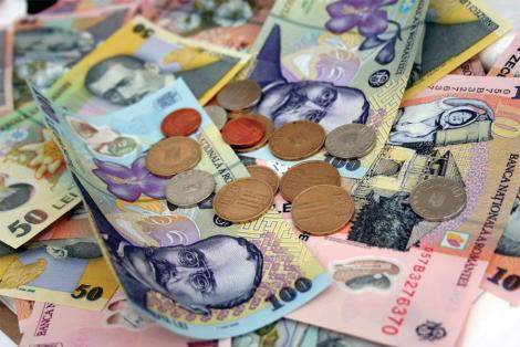 Ședință de apreciere pentru leu