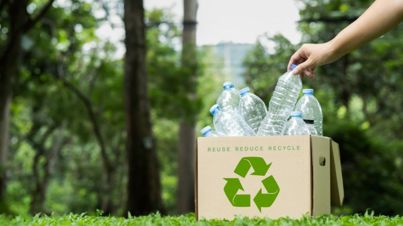 Noi tipuri de ambalaje vor intra în sistemul de garanție-returnare