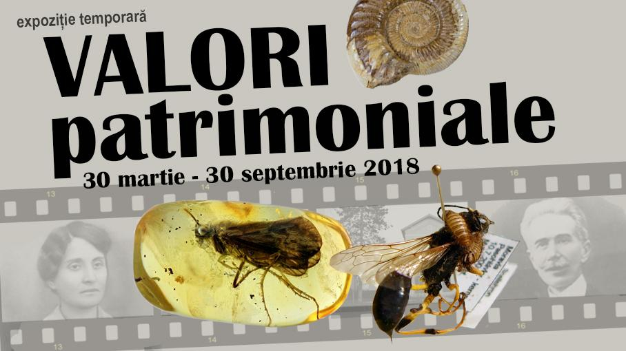 Valori patrimoniale la Complexul Muzeal de Ştiinţele Naturii