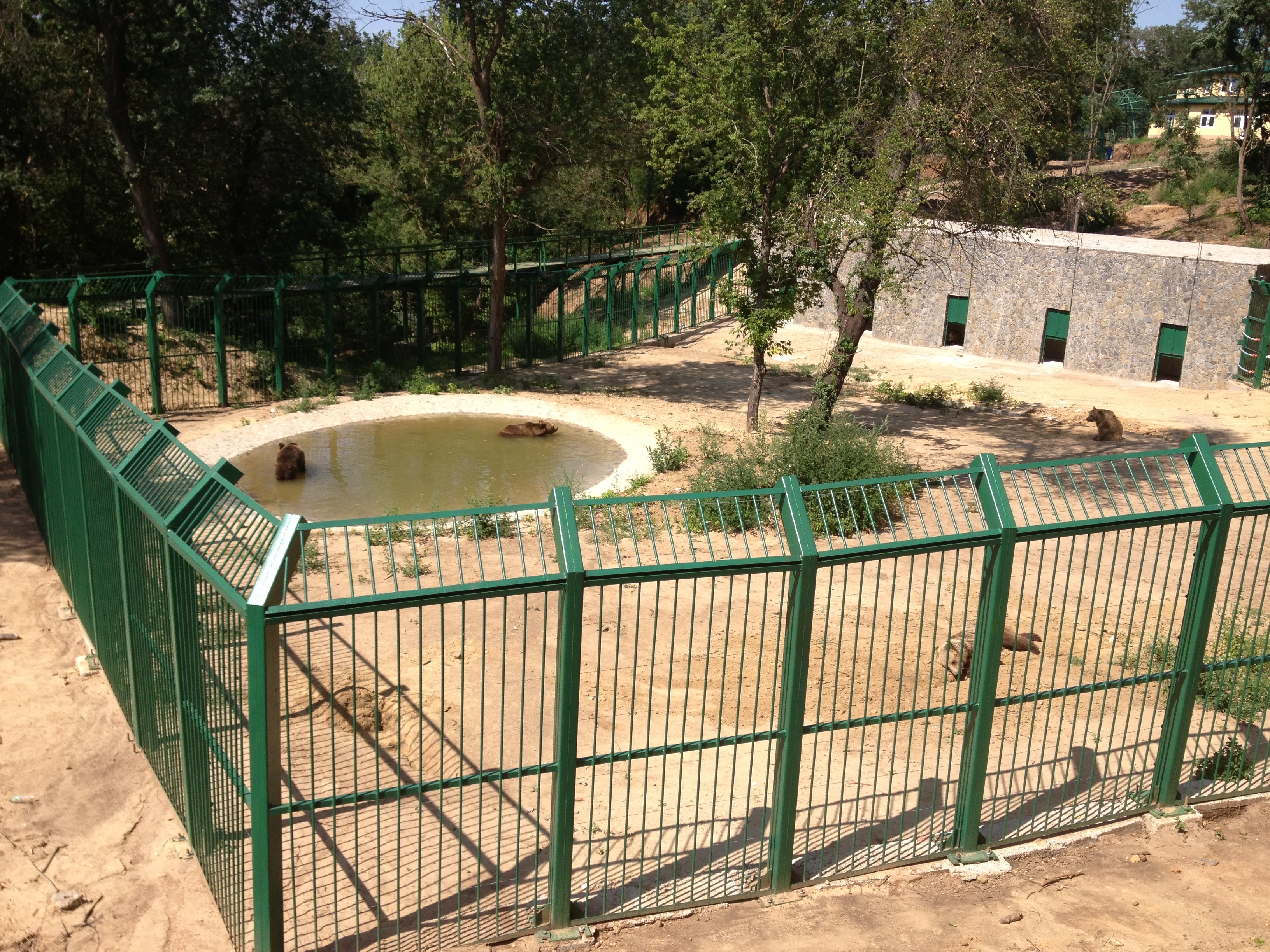 Proiect de modernizare: Adăpost nou pentru urşii de la Grădina Zoologică