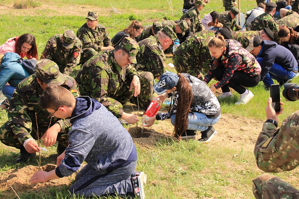 Împreună, pentru viitor. 100 de arbori pentru 100 de militari