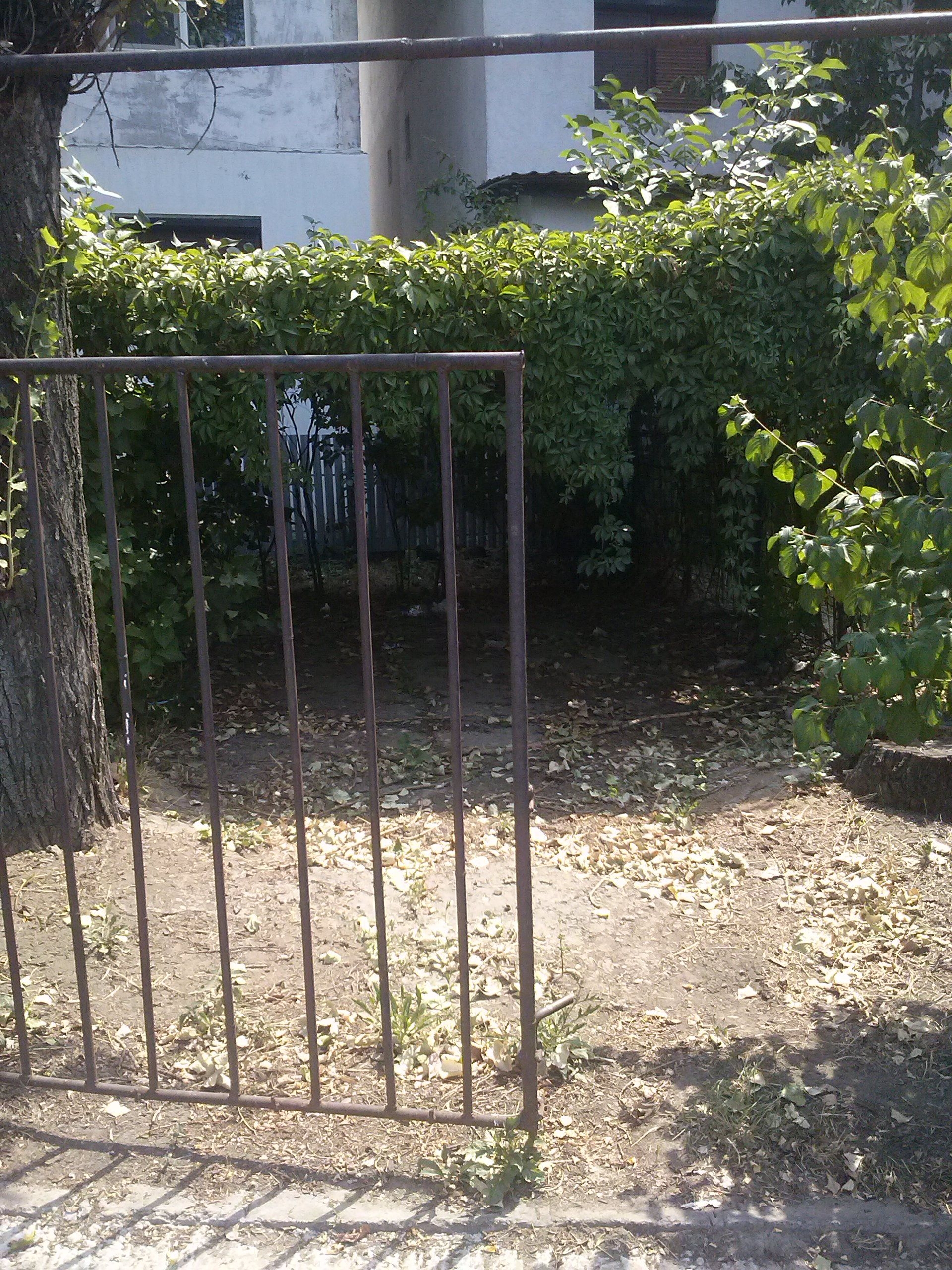 GARAJELE de iarbă - o soluţie ieftină şi… verde