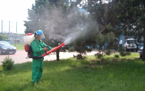 ADP-ul de la judeţ face angajări