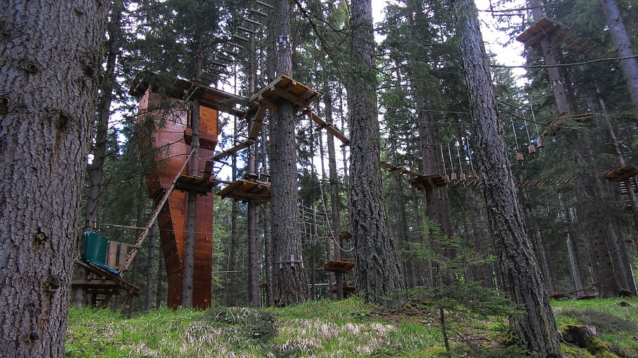 Proiect de Parc Aventura în pădurea Gârboavele