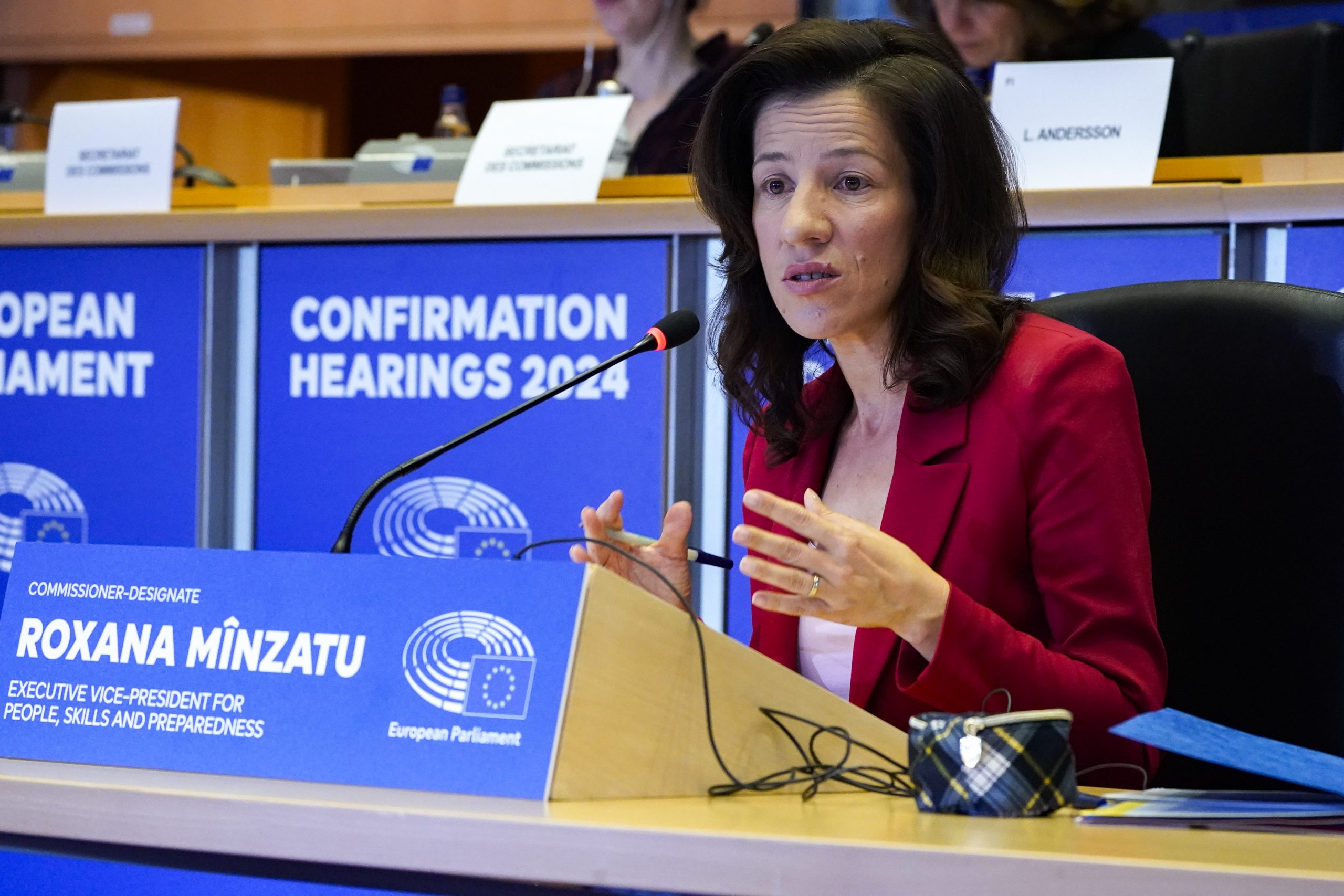 Roxana Mînzatu, vicepreședinte CE