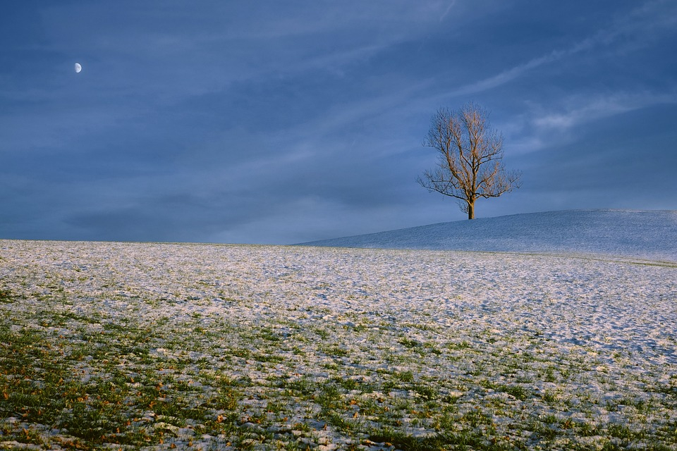 Un prim cod galben de ninsori, în 18 județe