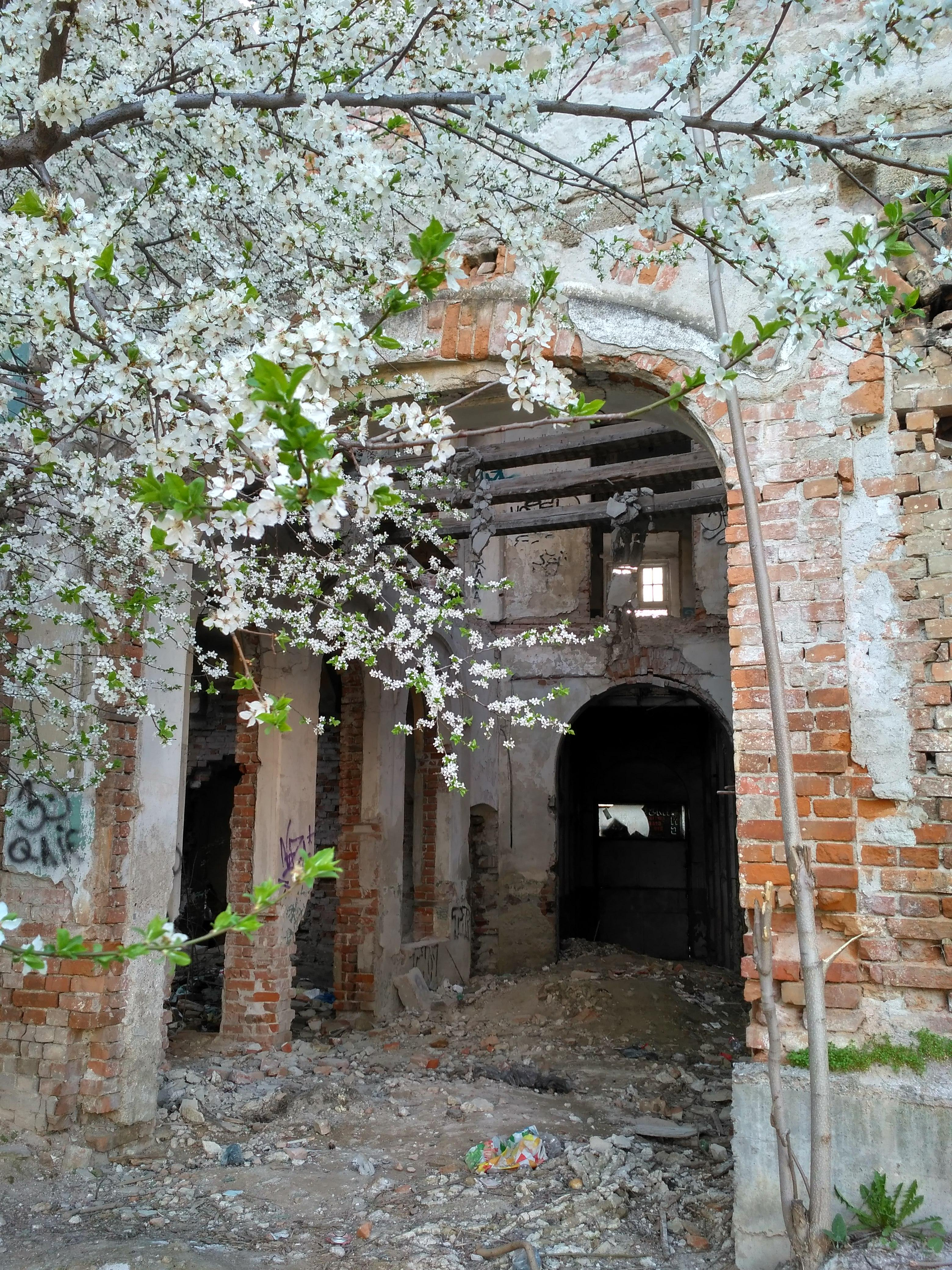 Primăria Galați vrea fonduri europene pentru Palatul Gheorghiu