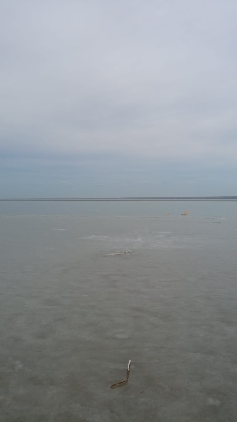 Ninsoare ca-n povești și Brateșul înghețat