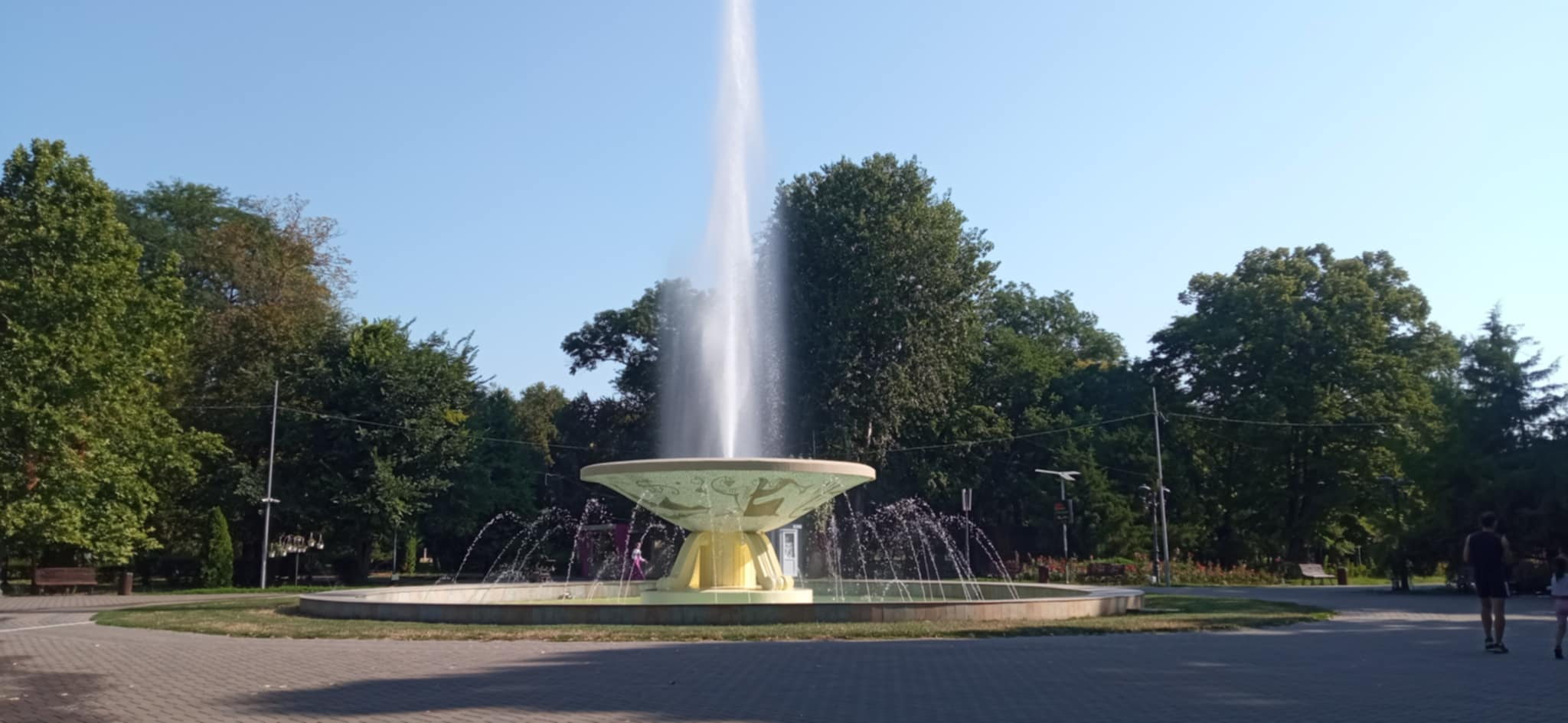 Poza zilei. Cât de des se repară o reparație?