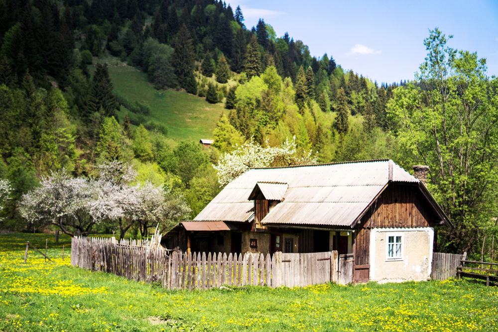 Cine poate solicita titlu de proprietate pe terenurile neintabulate ale locuinţei