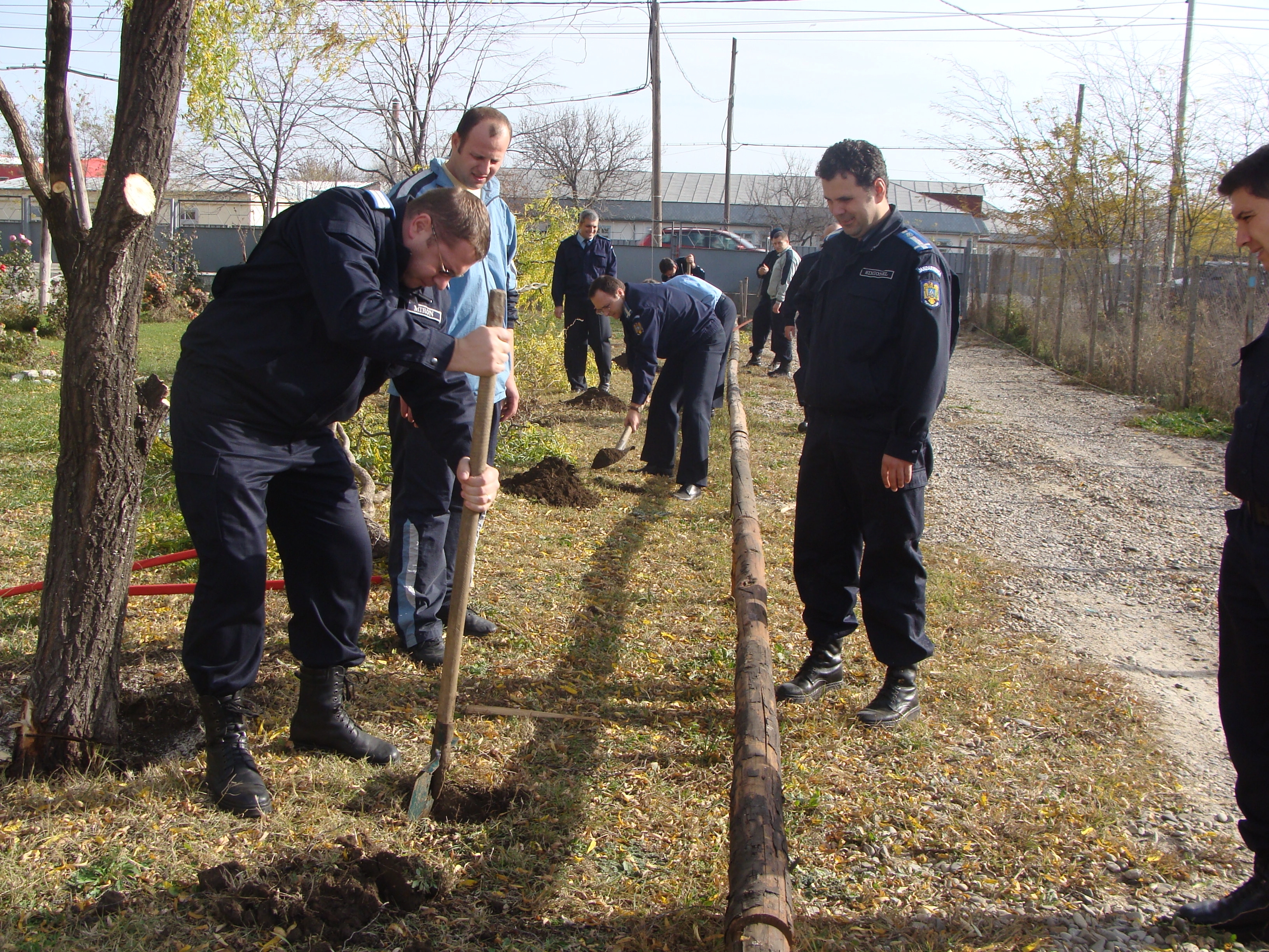 De ziua lor, jandarmii lasă armele şi plantează copaci pe Faleză