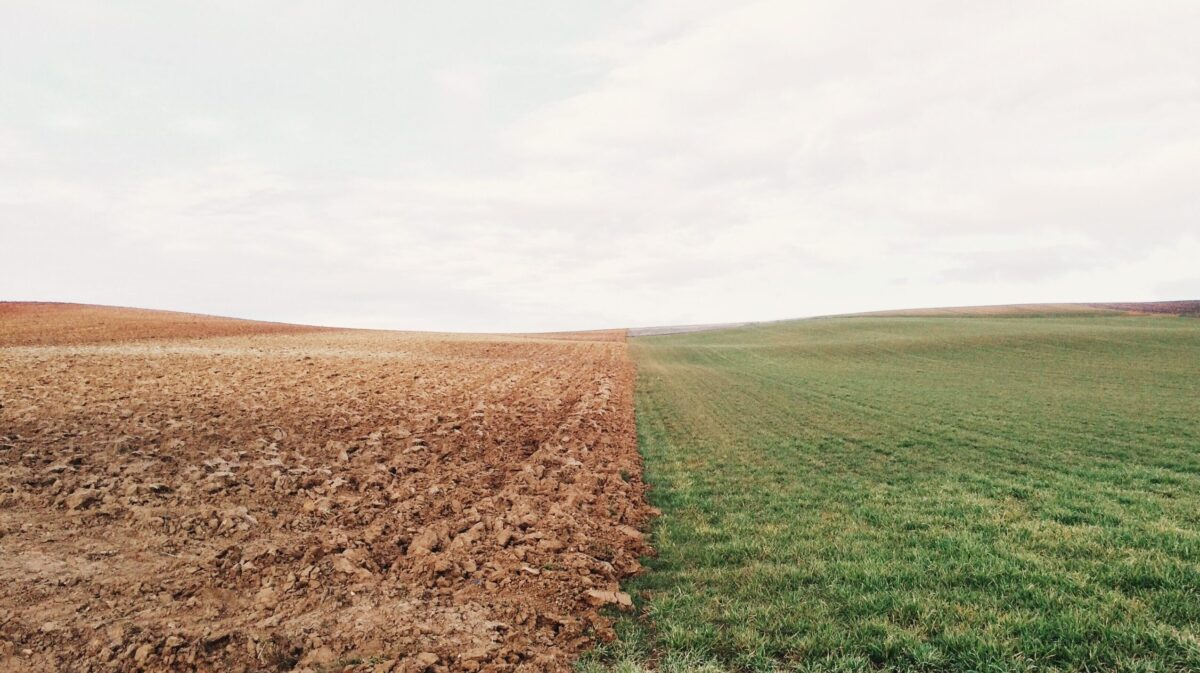 Agricultura românească, sub lupa meteorologilor