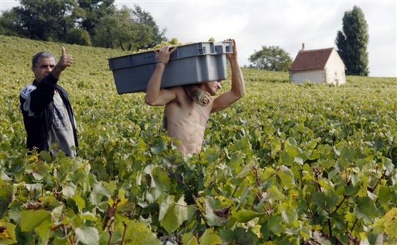 Oportunităţi de angajare în Europa Occidentală