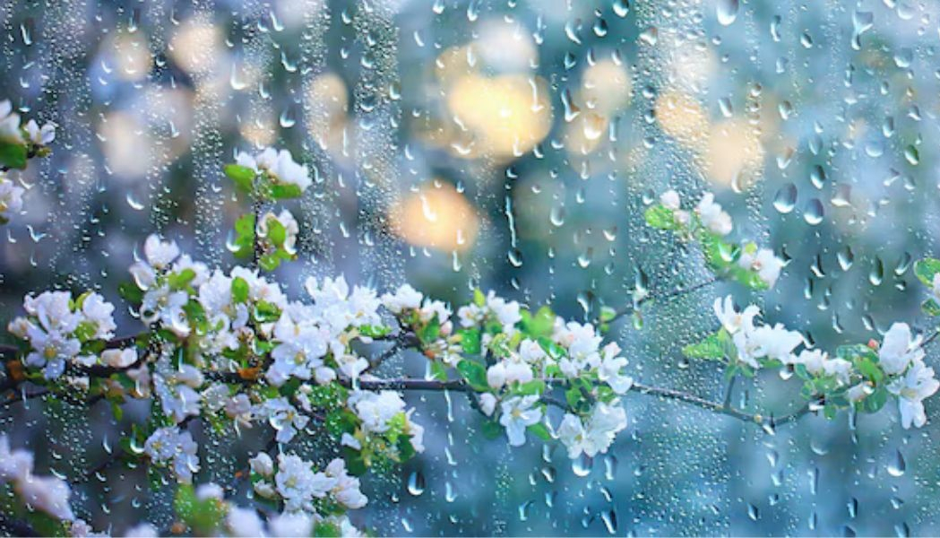 Meteo. Weekend cu vreme instabilă și ploi după-amiaza