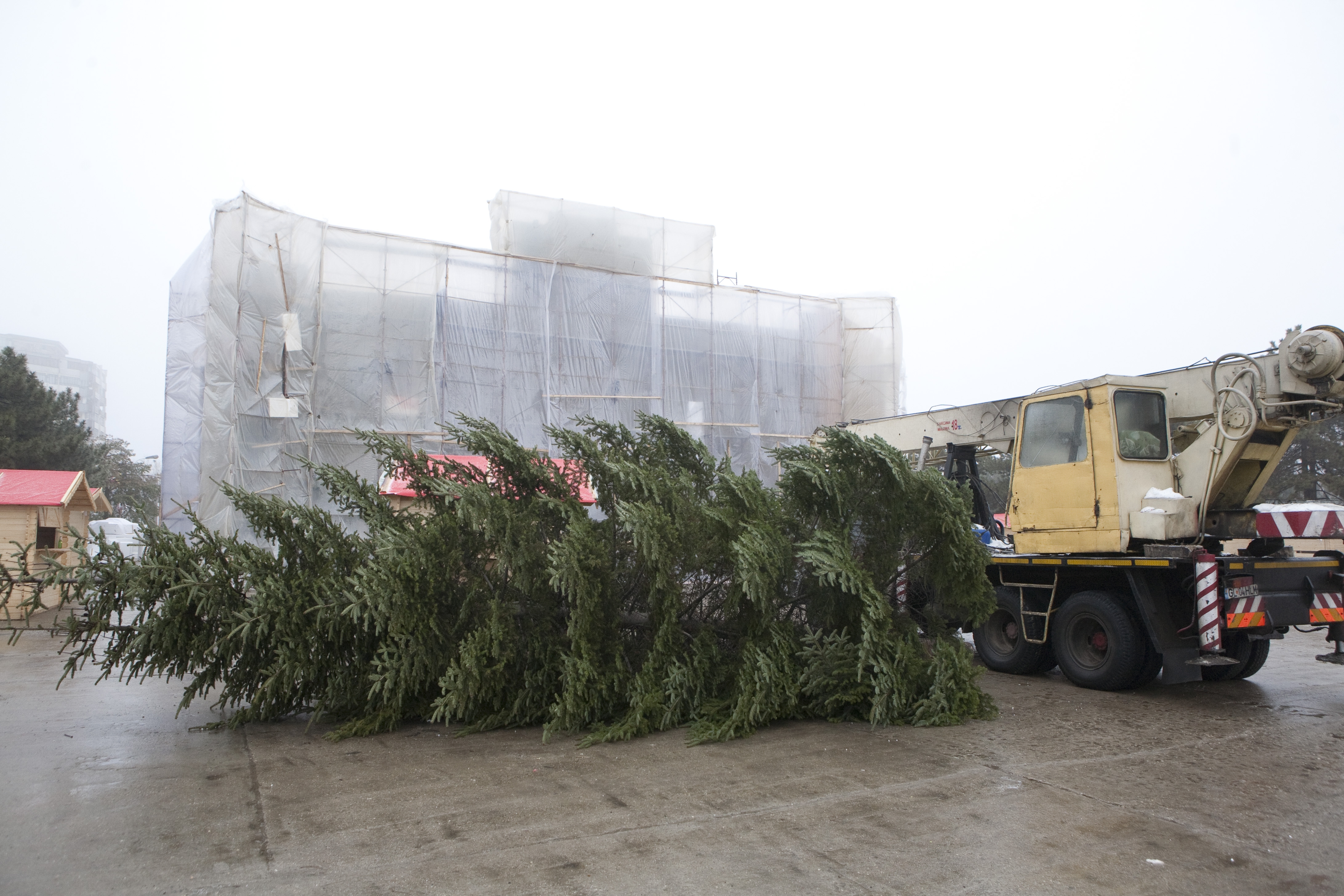Vineri împodobim bradul: Moş Crăciun vine cu şalupa