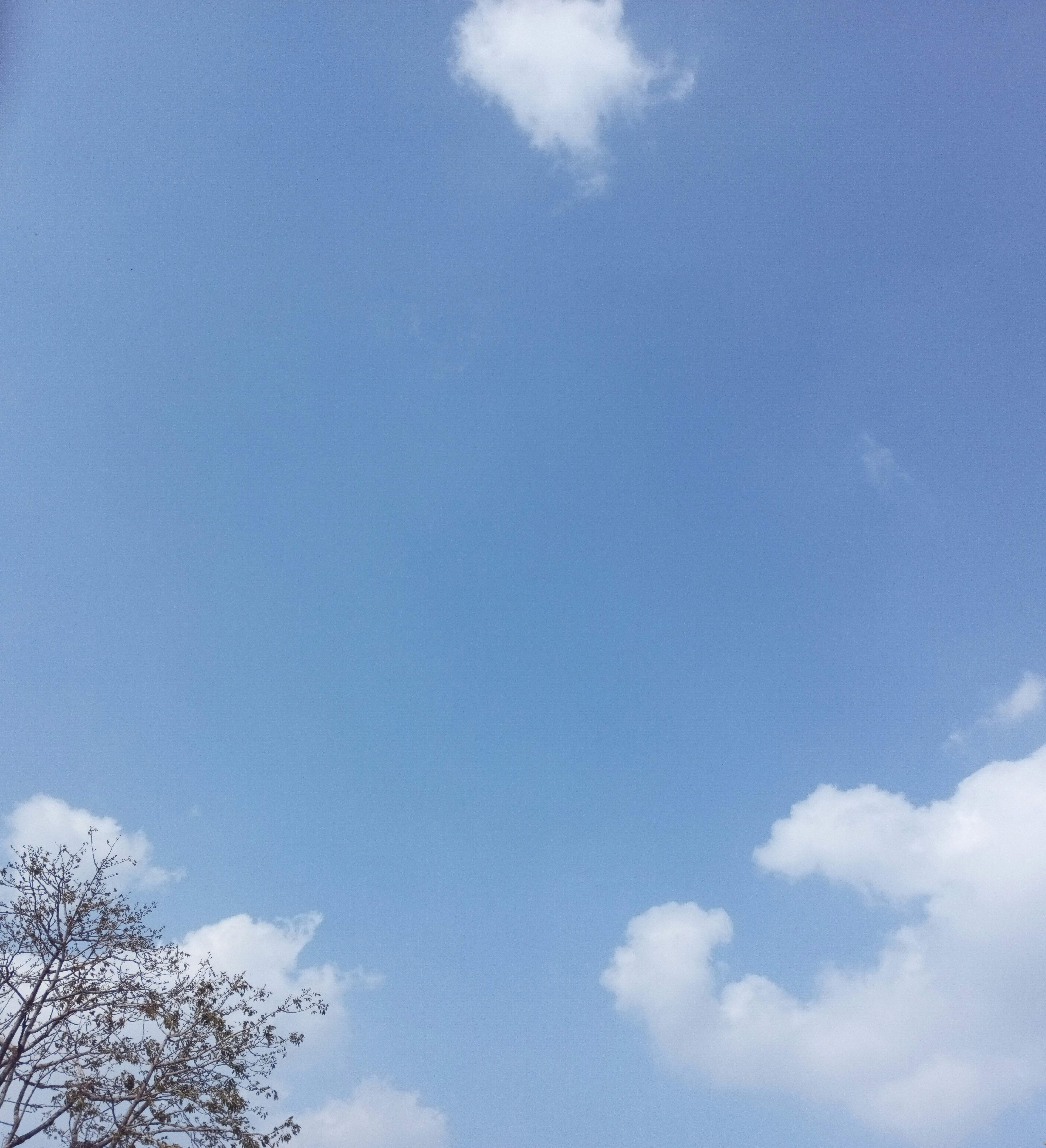 Mai mult senin şi temperaturi prietenoase