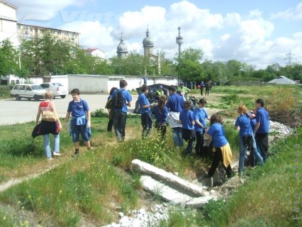 Iarba verde de la Selgros 