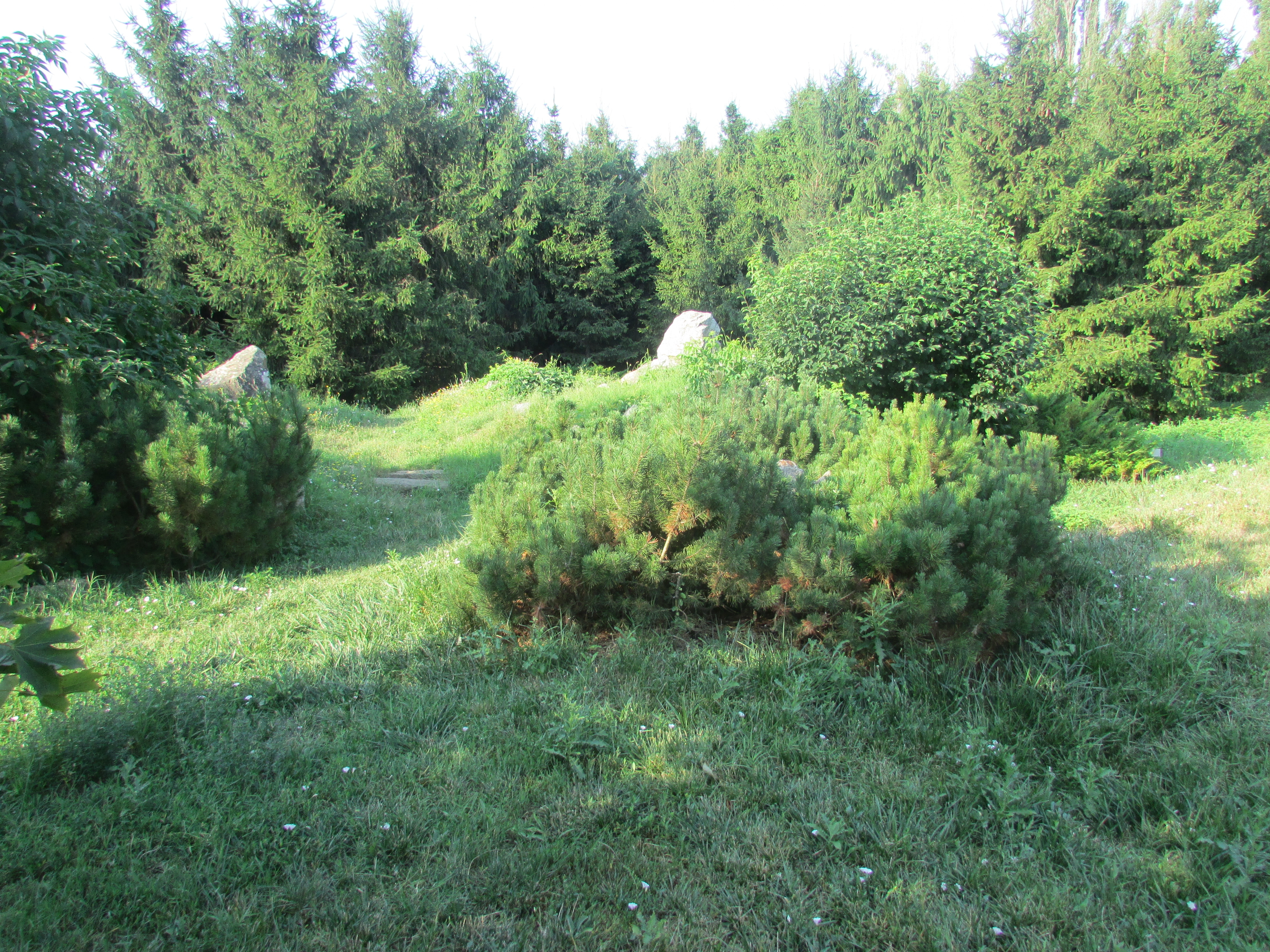 Campania VL "Comori de patrimoniu"/ ZONA ALPINĂ din mijlocul Galaţiului (FOTO)