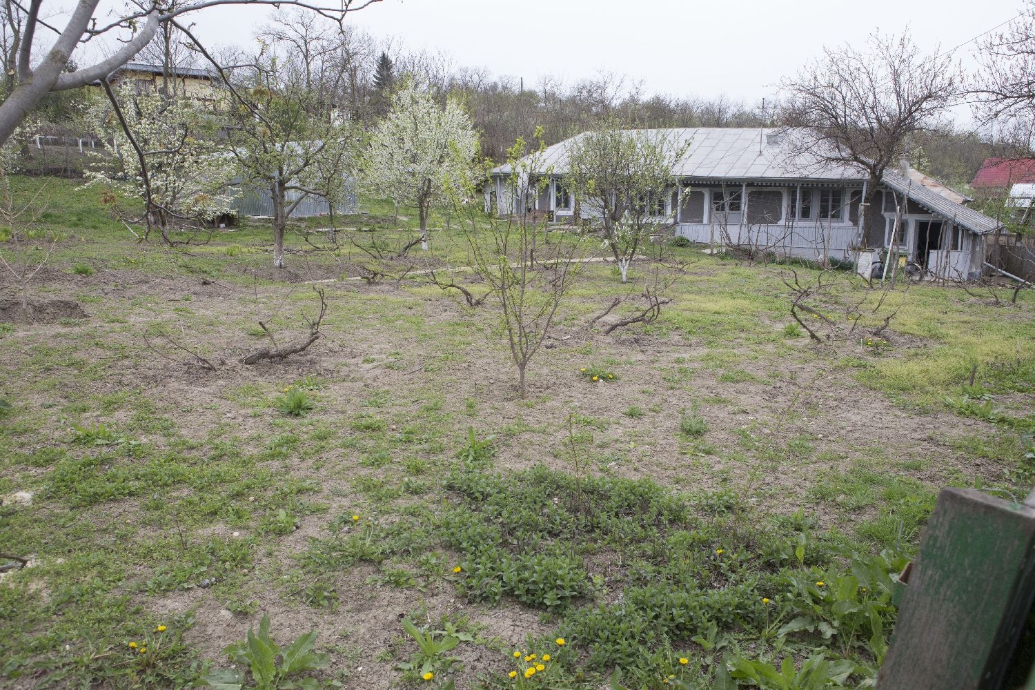 Proiect cultural la Oancea/ Muzeul Satului a PIERDUT finanţarea europeană (FOTO)