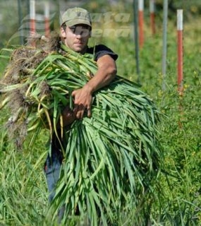 Potul de 25.000 euro!