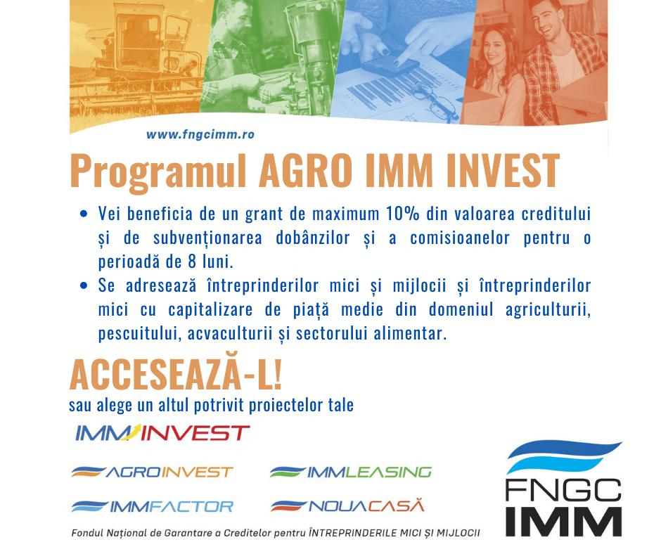 Norme de aplicare pentru IMM și Agro IMM Invest