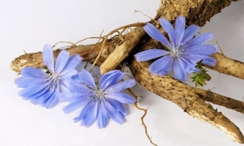 Cum să TRATEZI naturist colonul iritabil