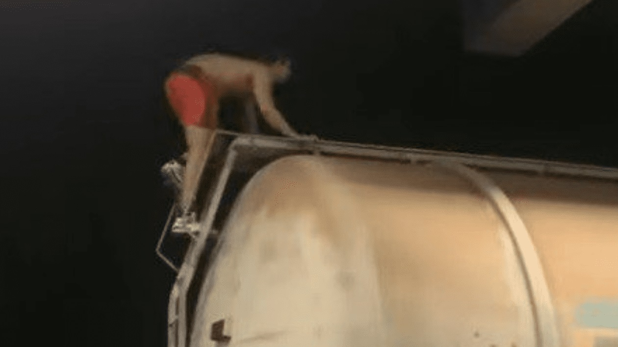 Tânăr electrocutat pe un vagon, filmat de prieteni