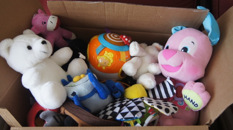 COPIII din Rădeşti vor ÎMPRUMUTA JUCĂRII de la BIBLIOTECĂ