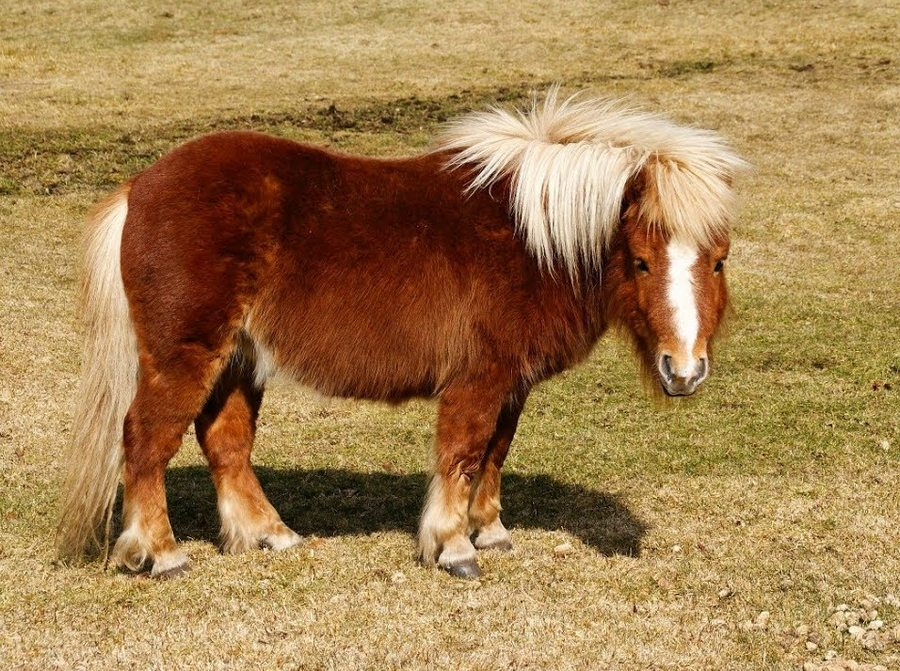 Odă în termometru antic